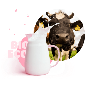 cow and bio milk